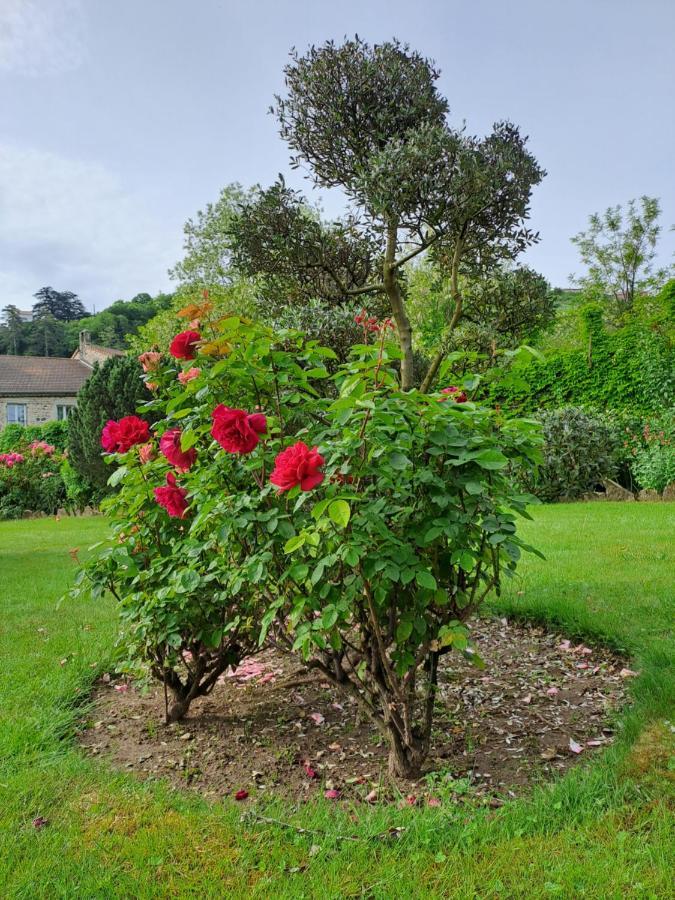 Gite 2 "Le Tilia " Aux Magnolias 3 Etoiles Aubenas Bagian luar foto