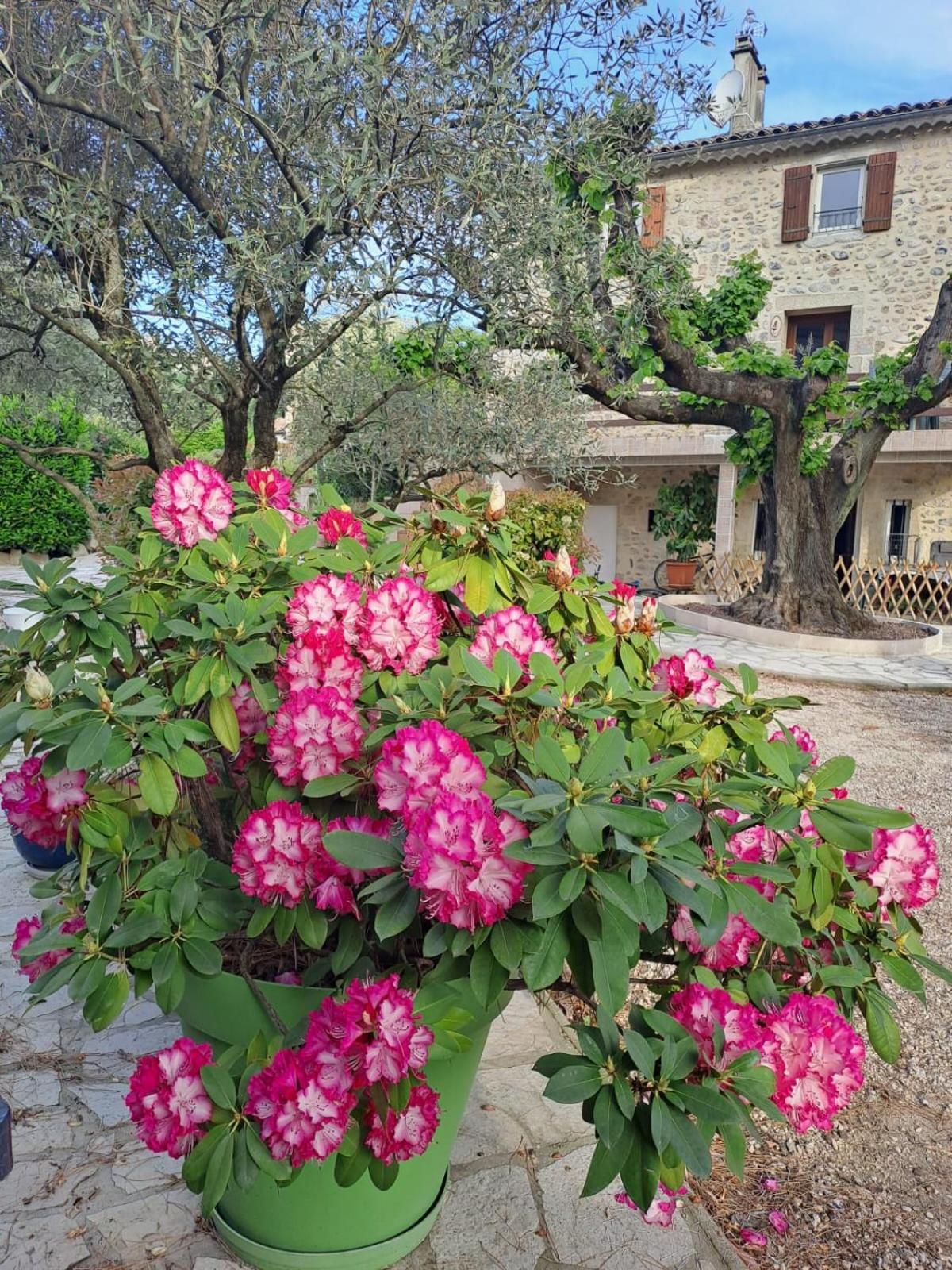 Gite 2 "Le Tilia " Aux Magnolias 3 Etoiles Aubenas Bagian luar foto